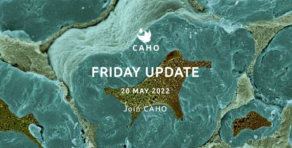 Caho Friday Update
